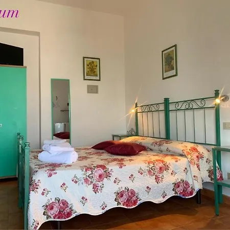 Stella Del Mattino *